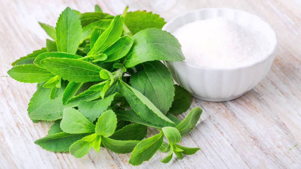 stevia-1-5.jpg